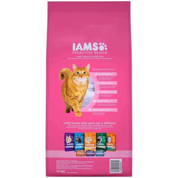 Best Cat Food For Sensitive Stomach/ Buying Guide 2024