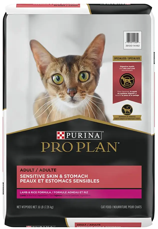 Best Cat Food For Sensitive Stomach/ Buying Guide 2024