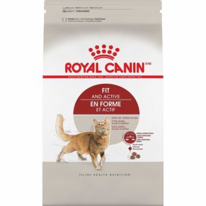 Royal Canin Feline Health Nutrition Adult Fit 32 Dry Cat Food