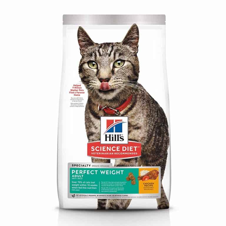 🥇Best Diet Cat Food For Overweight Cats in 2024