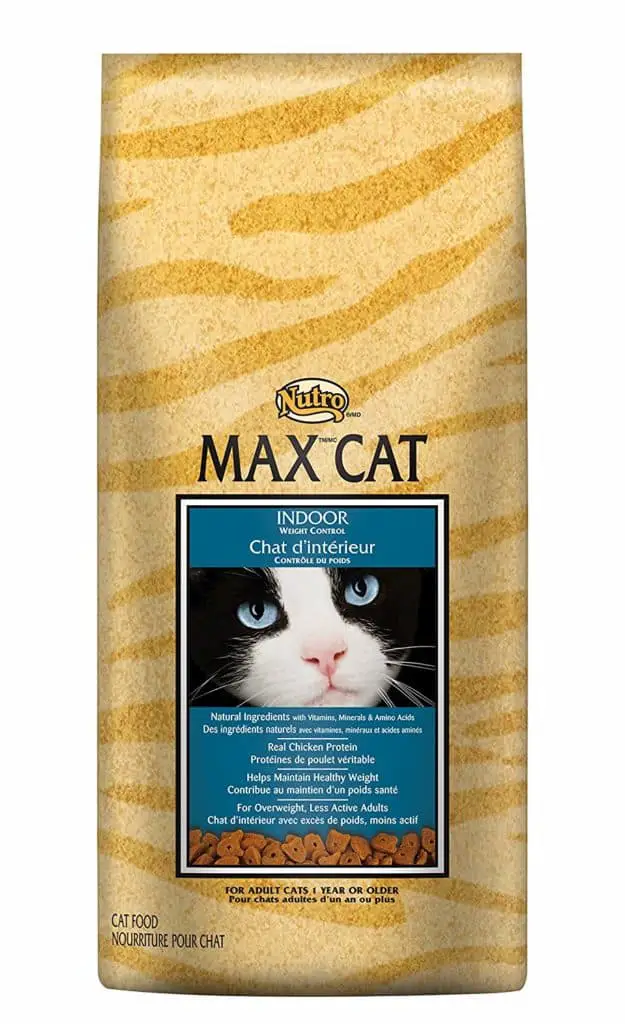 🥇Best Diet Cat Food For Overweight Cats in 2024