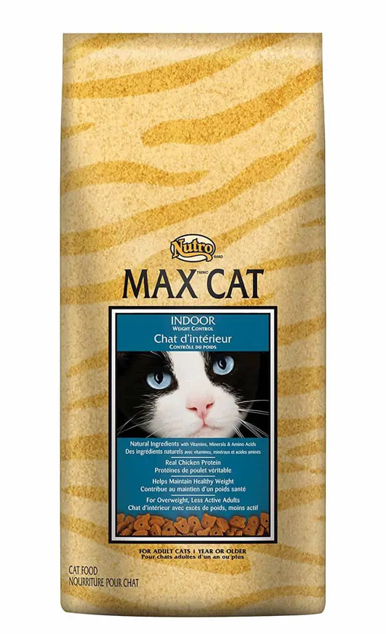 🥇Best Diet Cat Food For Overweight Cats in 2024