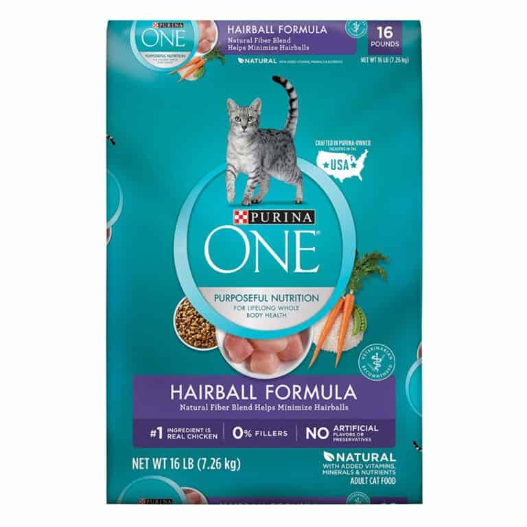 Cat Food for Hairballs and Vomiting » Best Cat Food Reviews