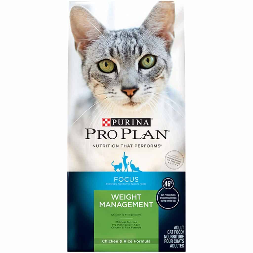 🥇Best Diet Cat Food For Overweight Cats in 2024