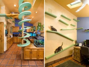 Decorate Your Apartment For Your Cat
