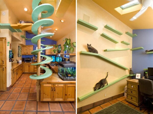 How to Decorate Your Apartment For Your Cat’s Enjoyment