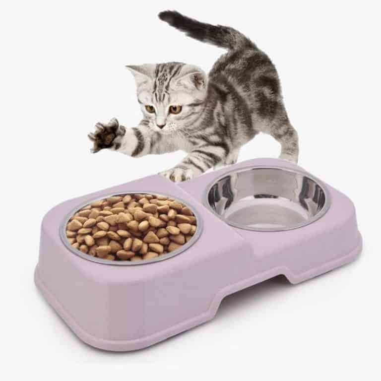 Water Bowl for Cat