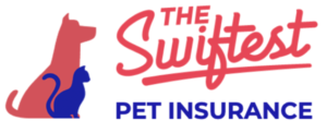 pet insurance comparison