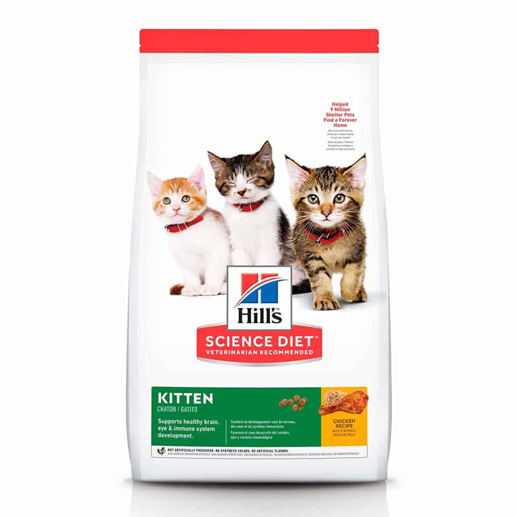The 5 Best Dry Kitten Food Reviews » Best Cat Food Reviews