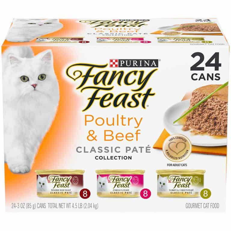 The 10 Best Grainfree Cat Food for Healthy Cats