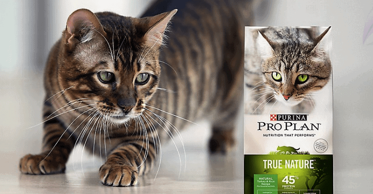 Purina Pro Plan Cat Food Reviews