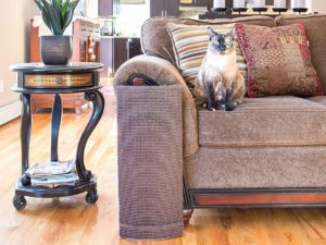 How to Protect Furniture from Cats