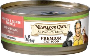 Best natural organic cat food
