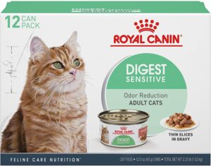 Best cat food for digestive problems