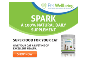 super food for cats
