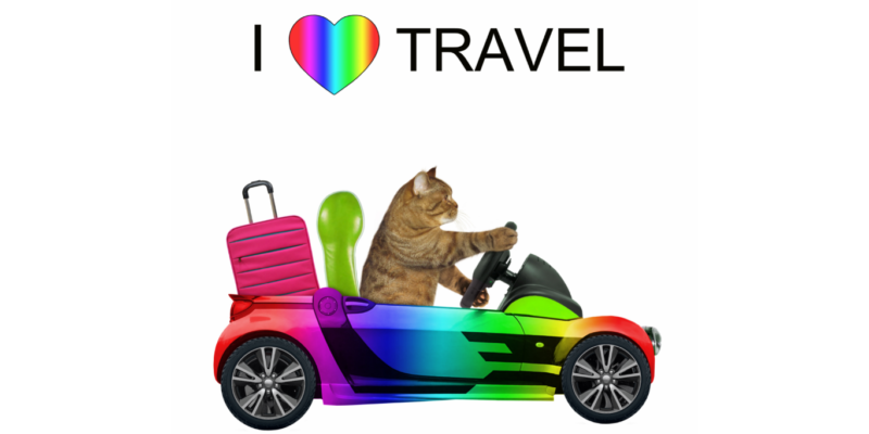how to travel with a cat