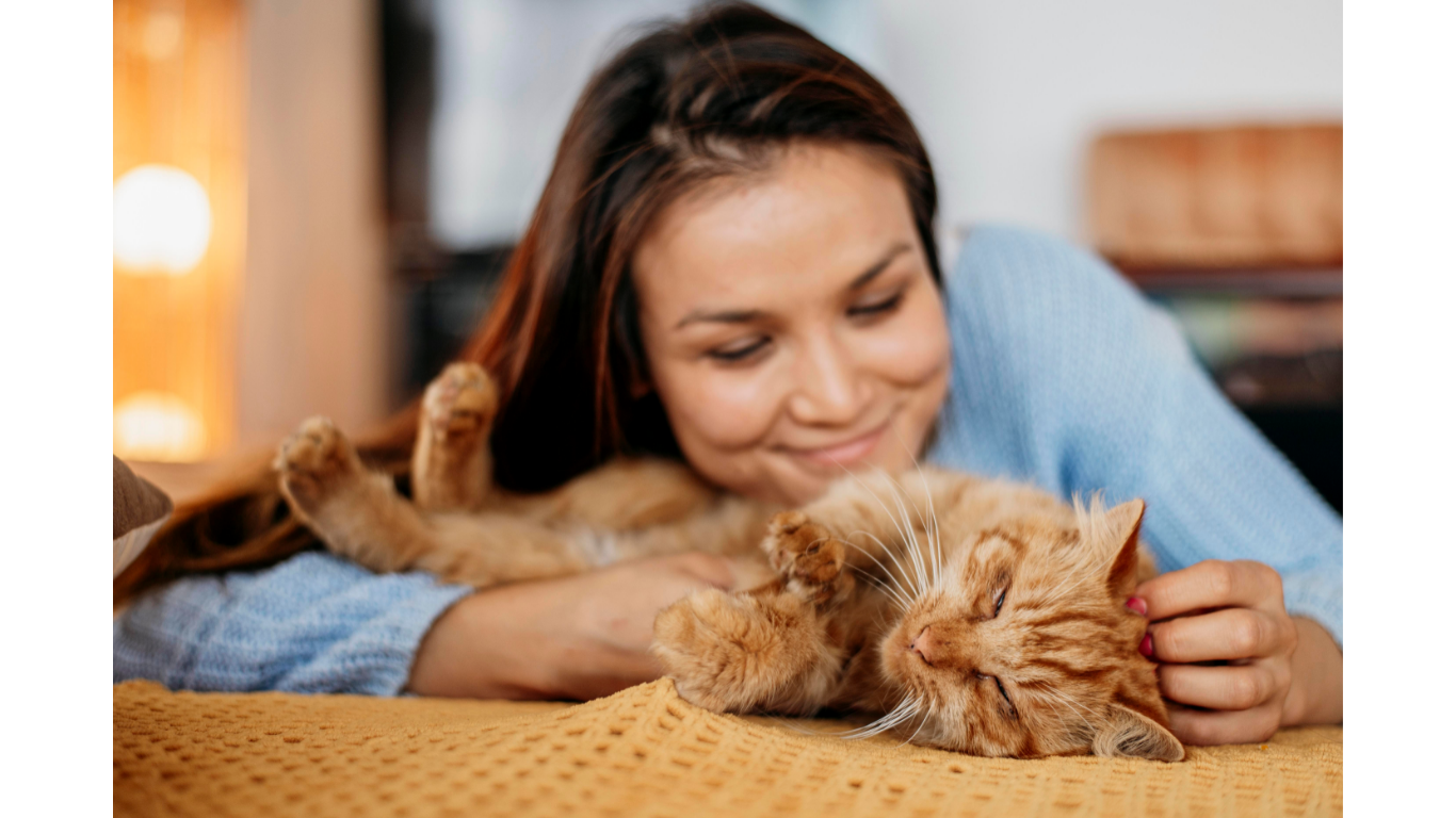 Why Do Cats Knead Their Owners