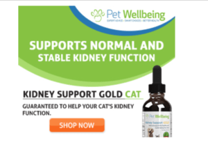 Kidney Support Gold Cat