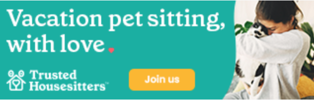 pet sitting services