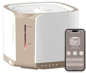 Automatic Water Fountain