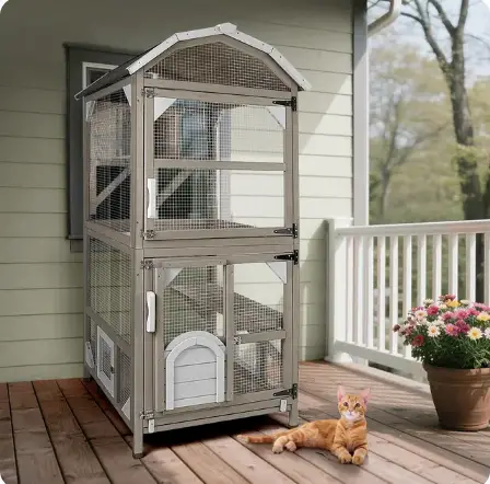 Cat House Outdoor Catio Cat Enclosures