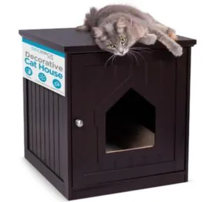 Hidden Litter Box Enclosure