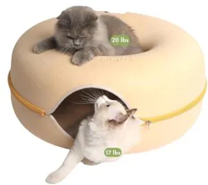 Peekaboo Cat Cave for Multiple and Large Cats