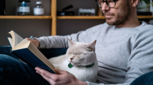 Everything You Need to Know About the White British Shorthair Cat Breed