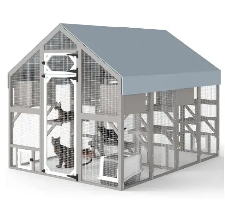 Outdoor Cat Patio for Multiple Cats