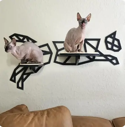 Metal Cat Wall Shelves and Perches