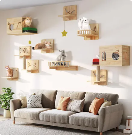 Cat Wall Shelves and Perches