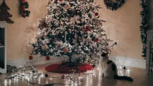 Cat Proof Christmas Tree