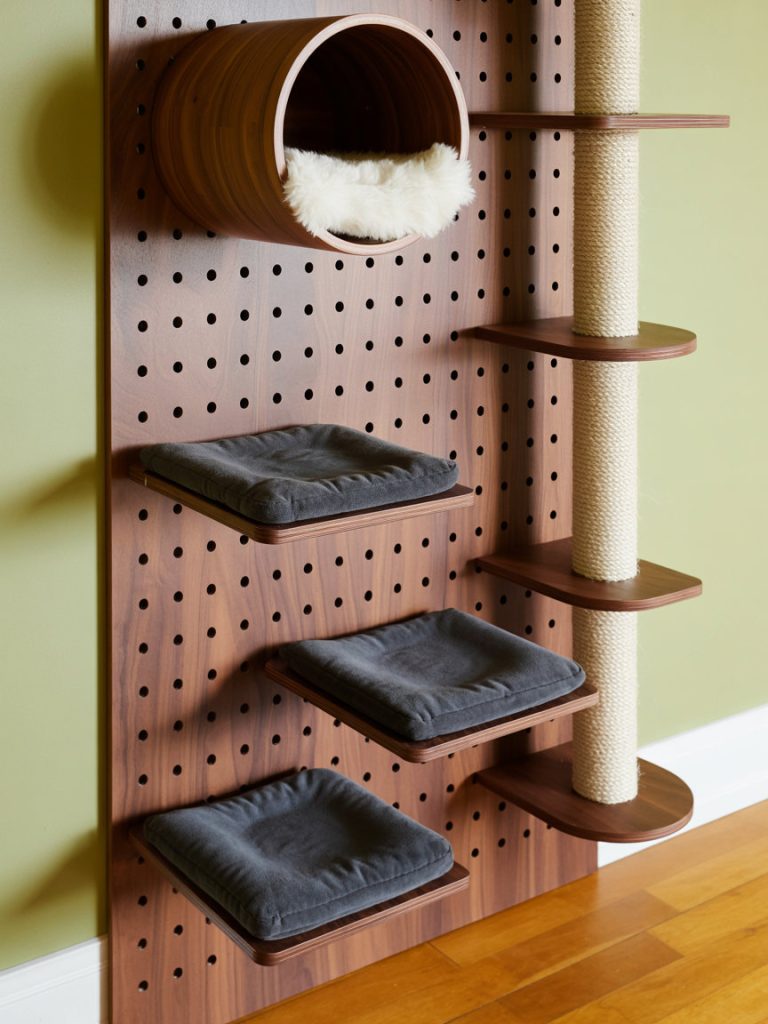 A cat explores and lounges on DIY wall shelves in sunny living room. modern diy cat wall shelves with unique materials
