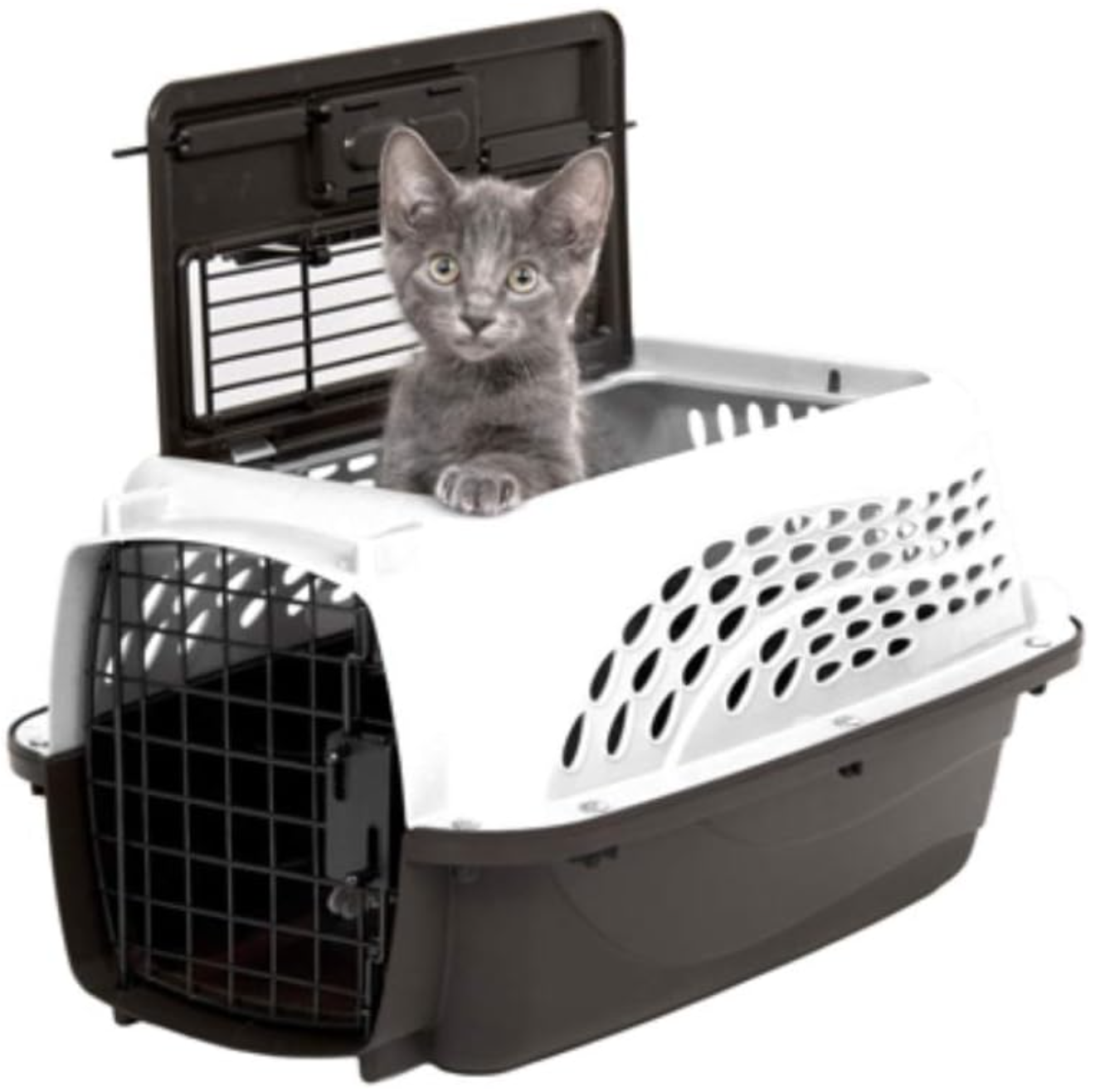 Features of the Petmate Cat Carrier