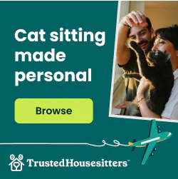 cat sitting trustedhousesitters