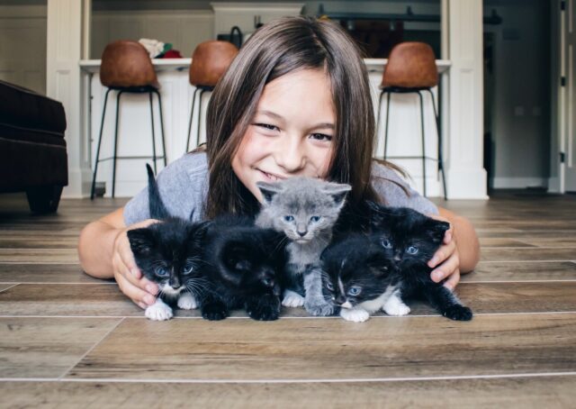 purina kit and kaboodle cat food with a girl and her kitties